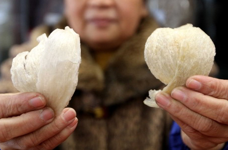 Tổ yến thật giả ảnh 3